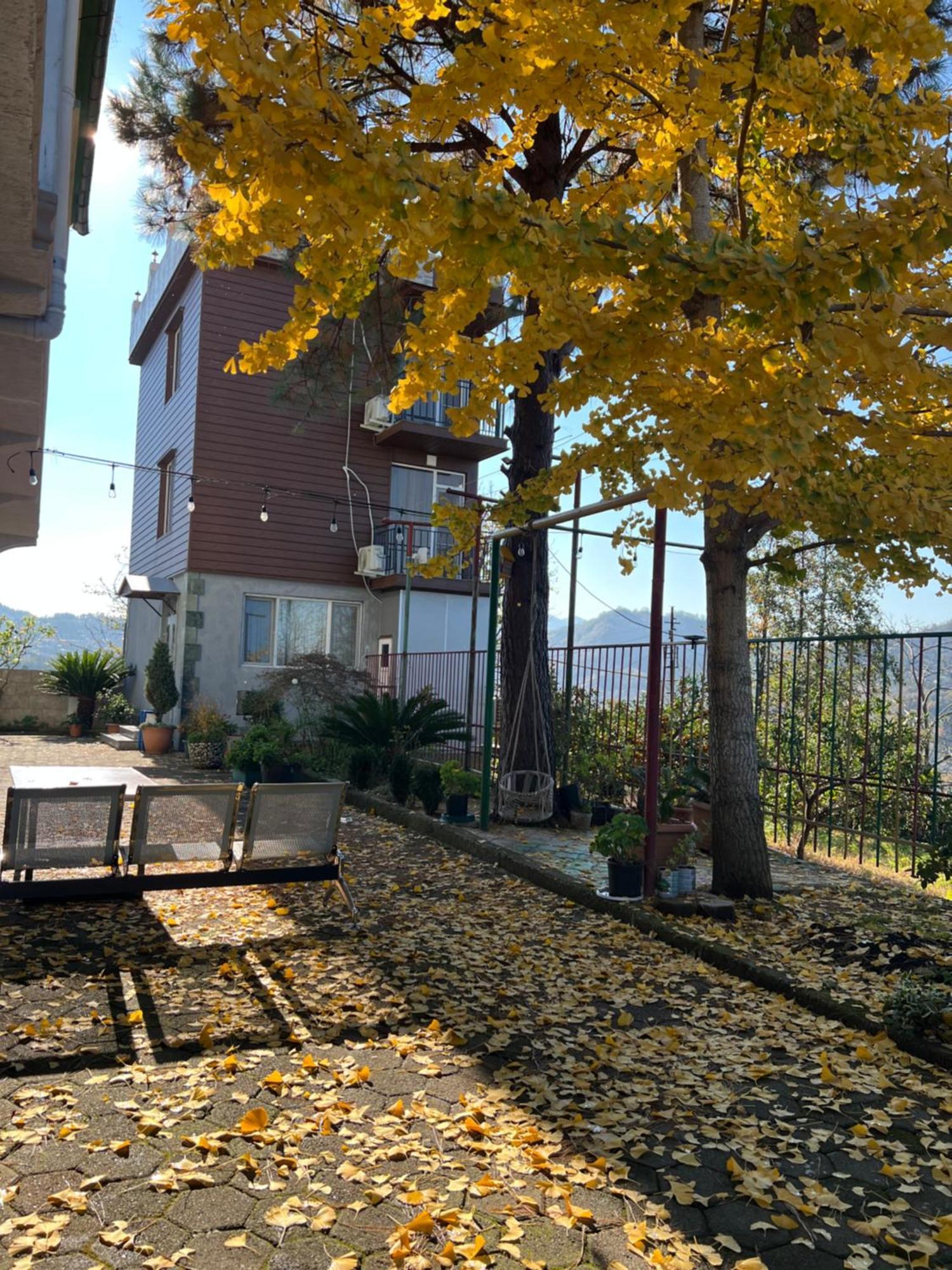 Gt House Batumi Hotel Екстериор снимка